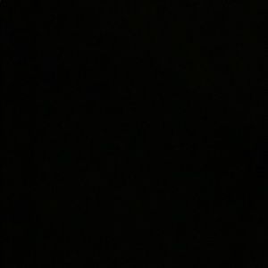 Meet your Posher, Carmen